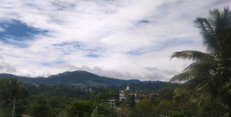 The Jesmine Homestay