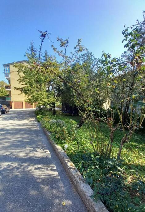 Casa Stadium photo 2