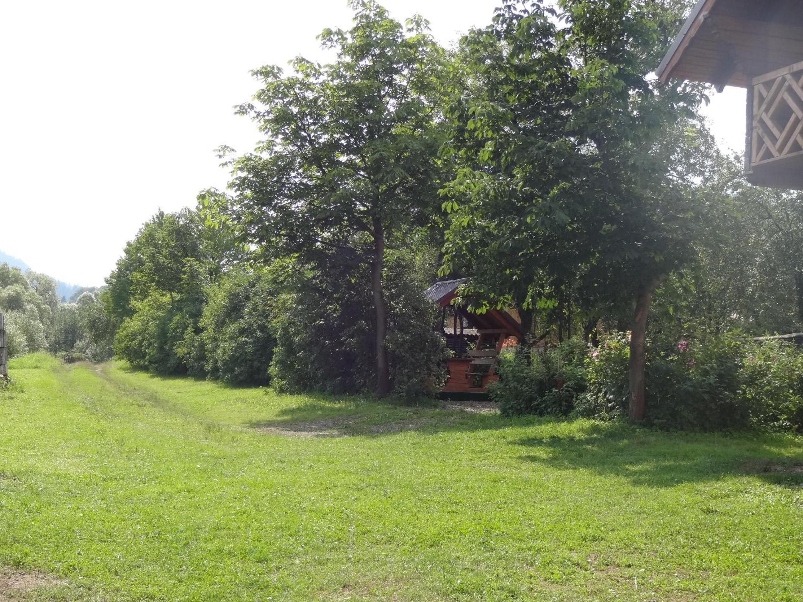 Photo 27