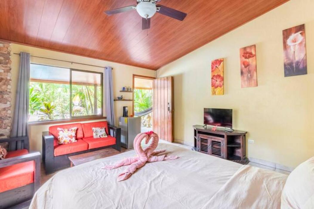 Casa Caribbean Coconut