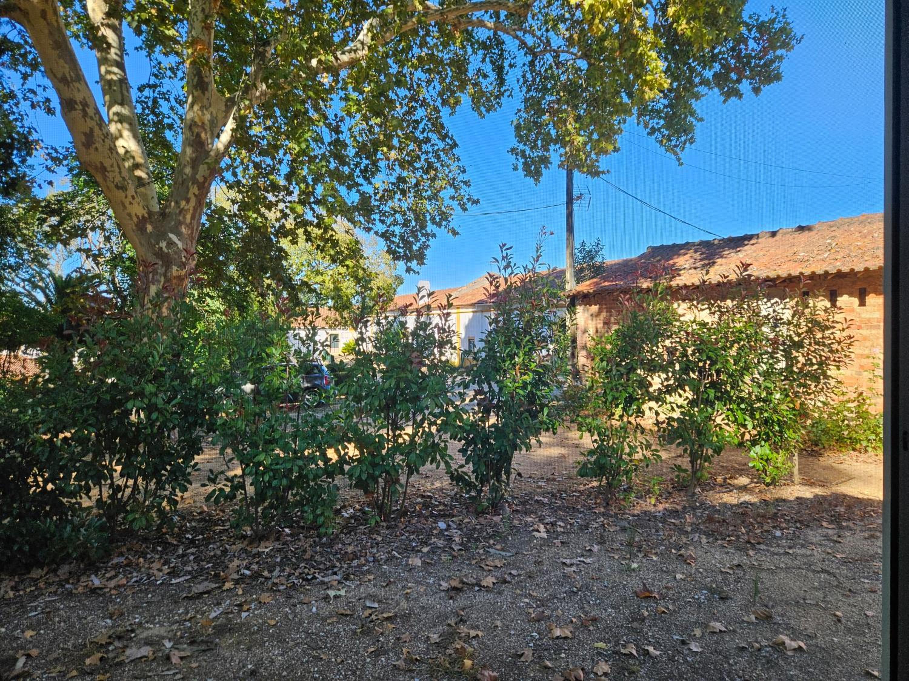 Photo 47