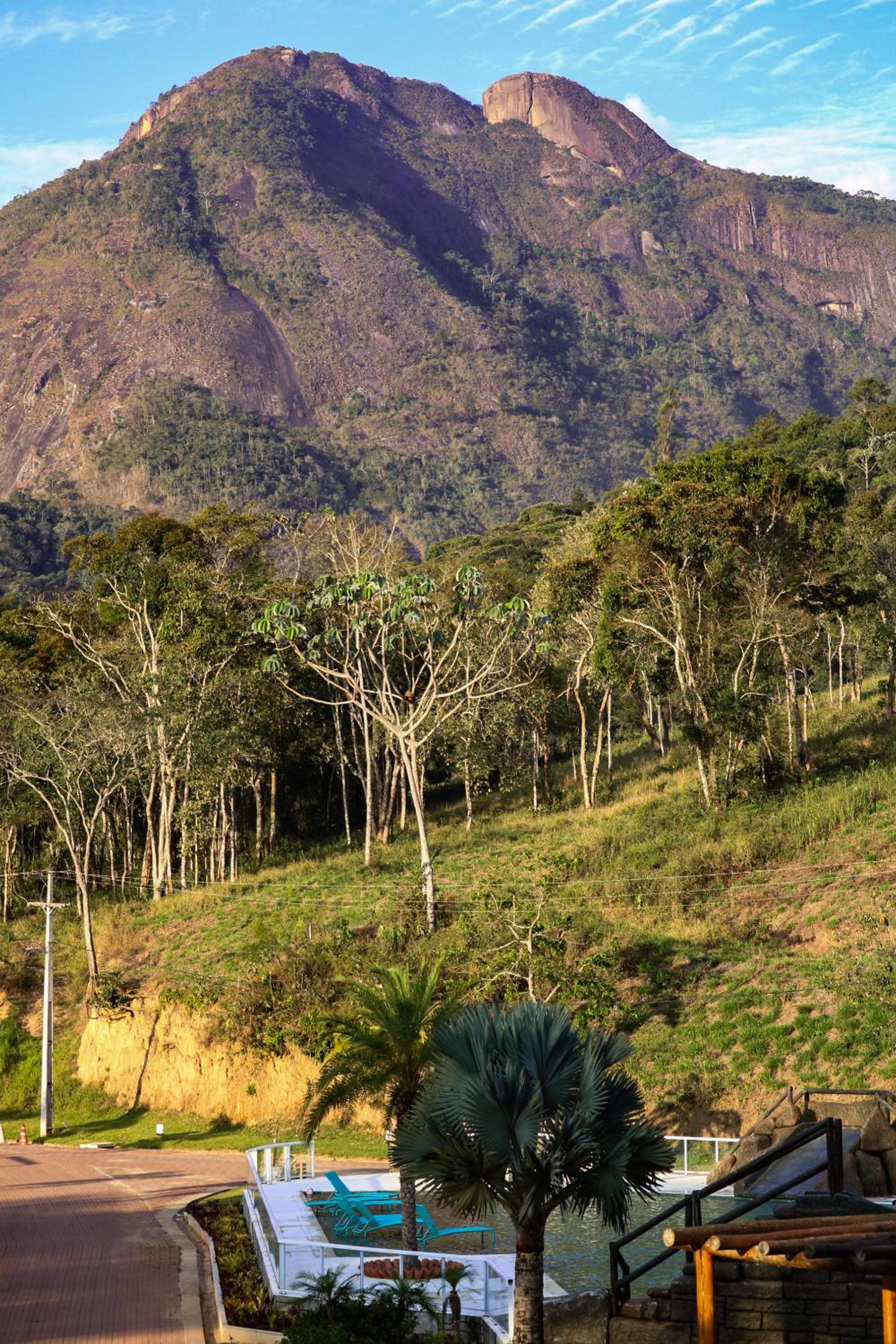 Art Green Teresópolis