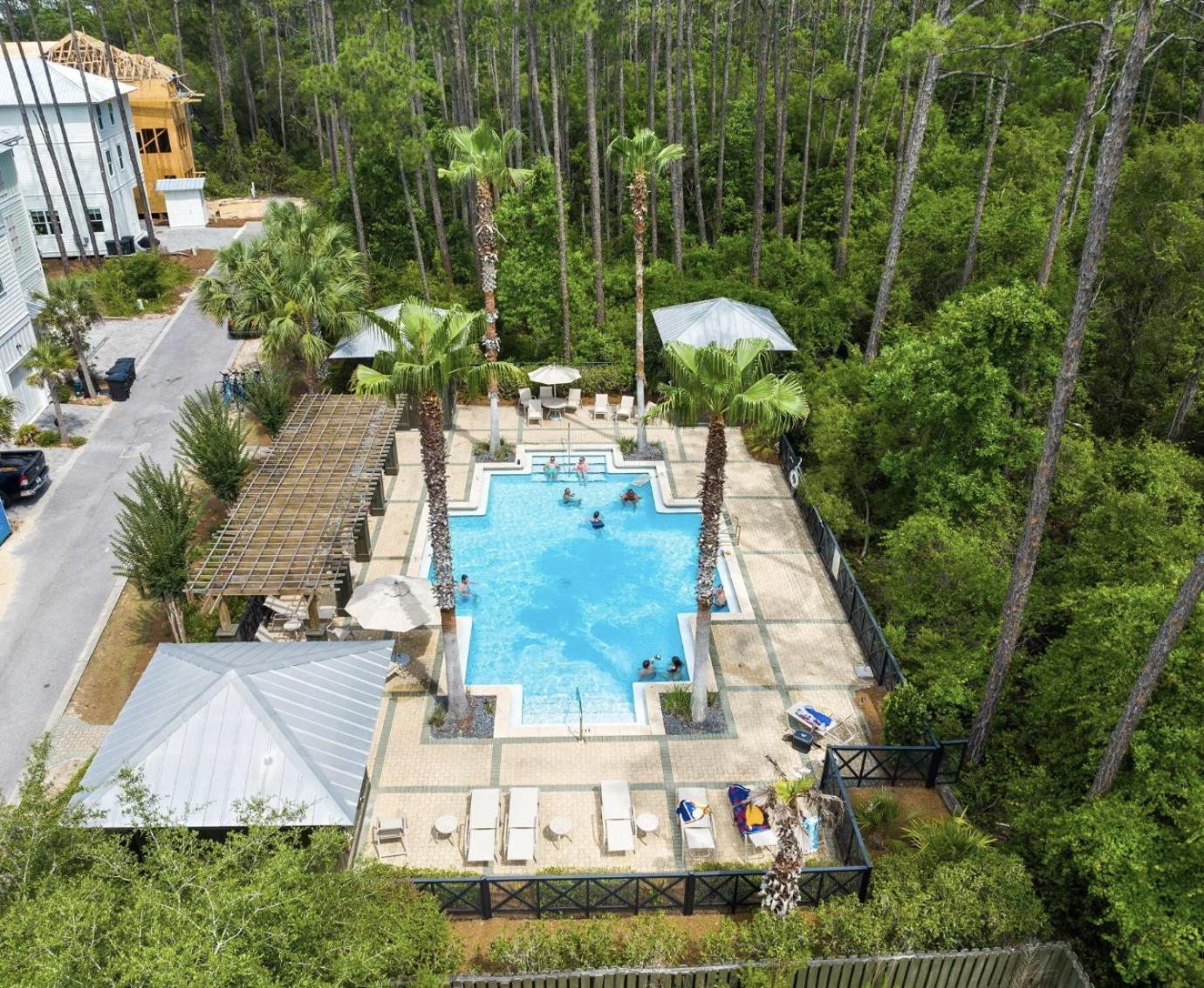 Scissortail at Treetop view 3