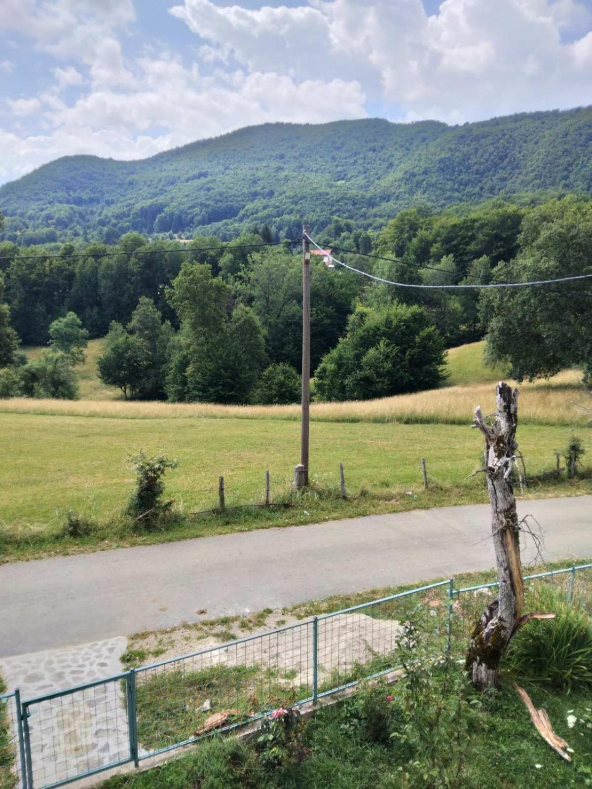 Apartman Natur
