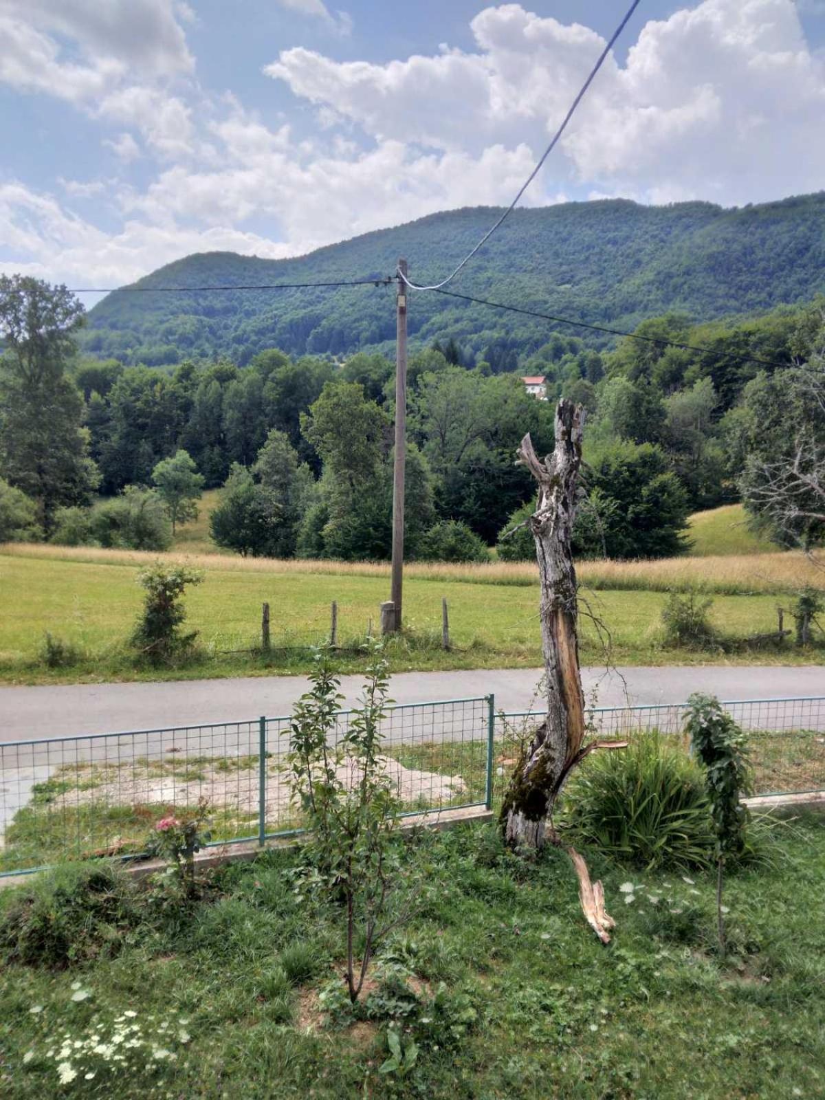 Apartman Natur