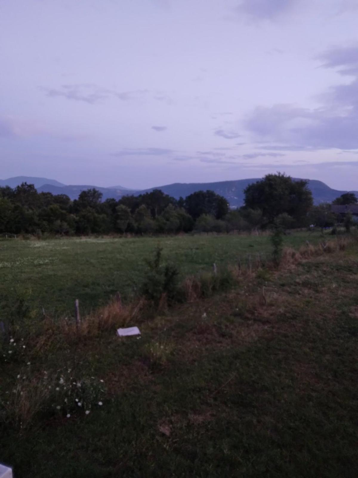 Apartman Natur