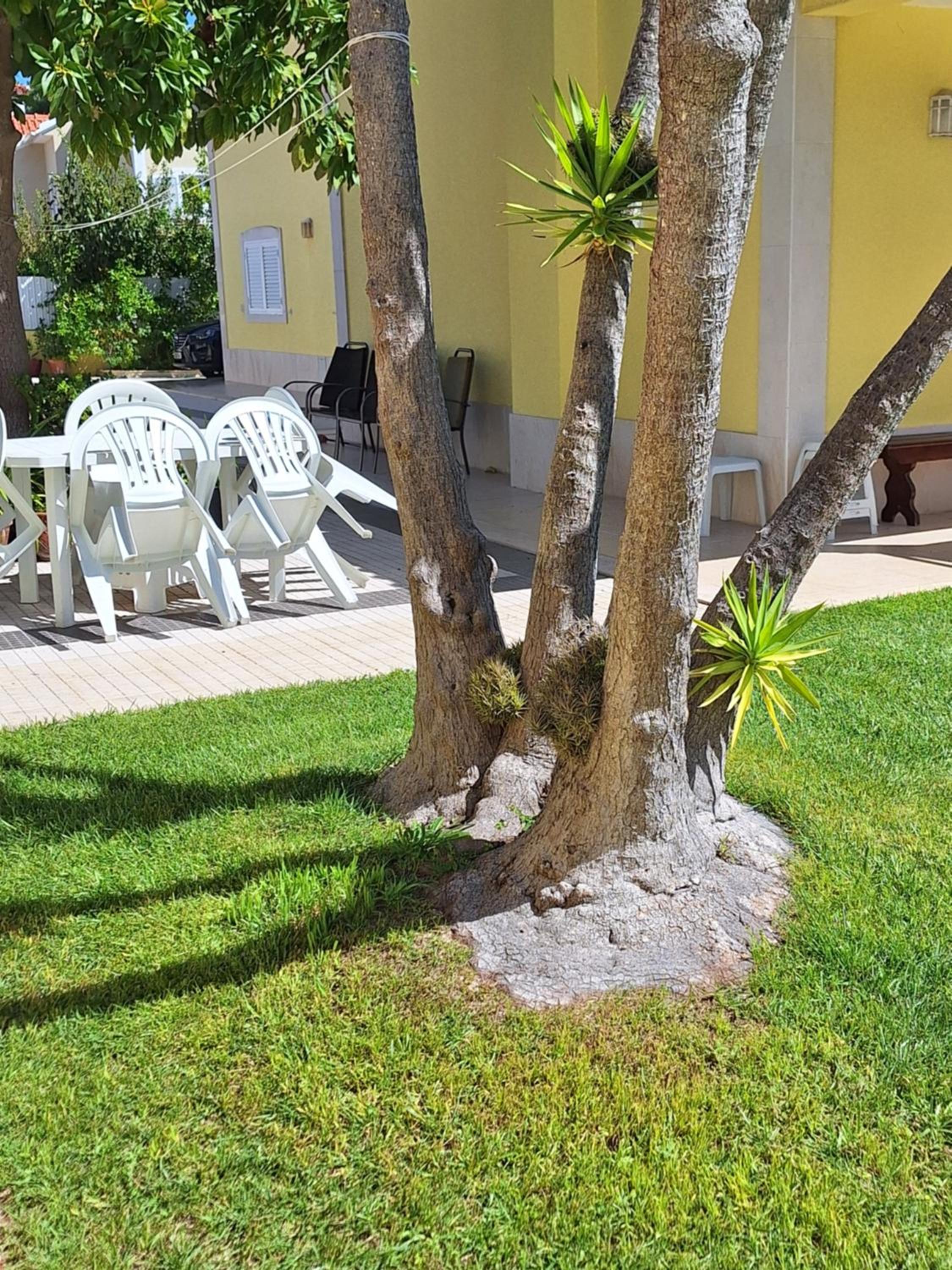 B House Verdizela view 4