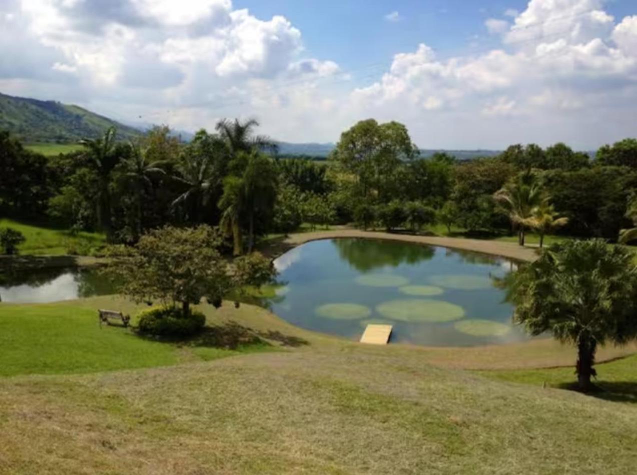 Hacienda la Romelia
