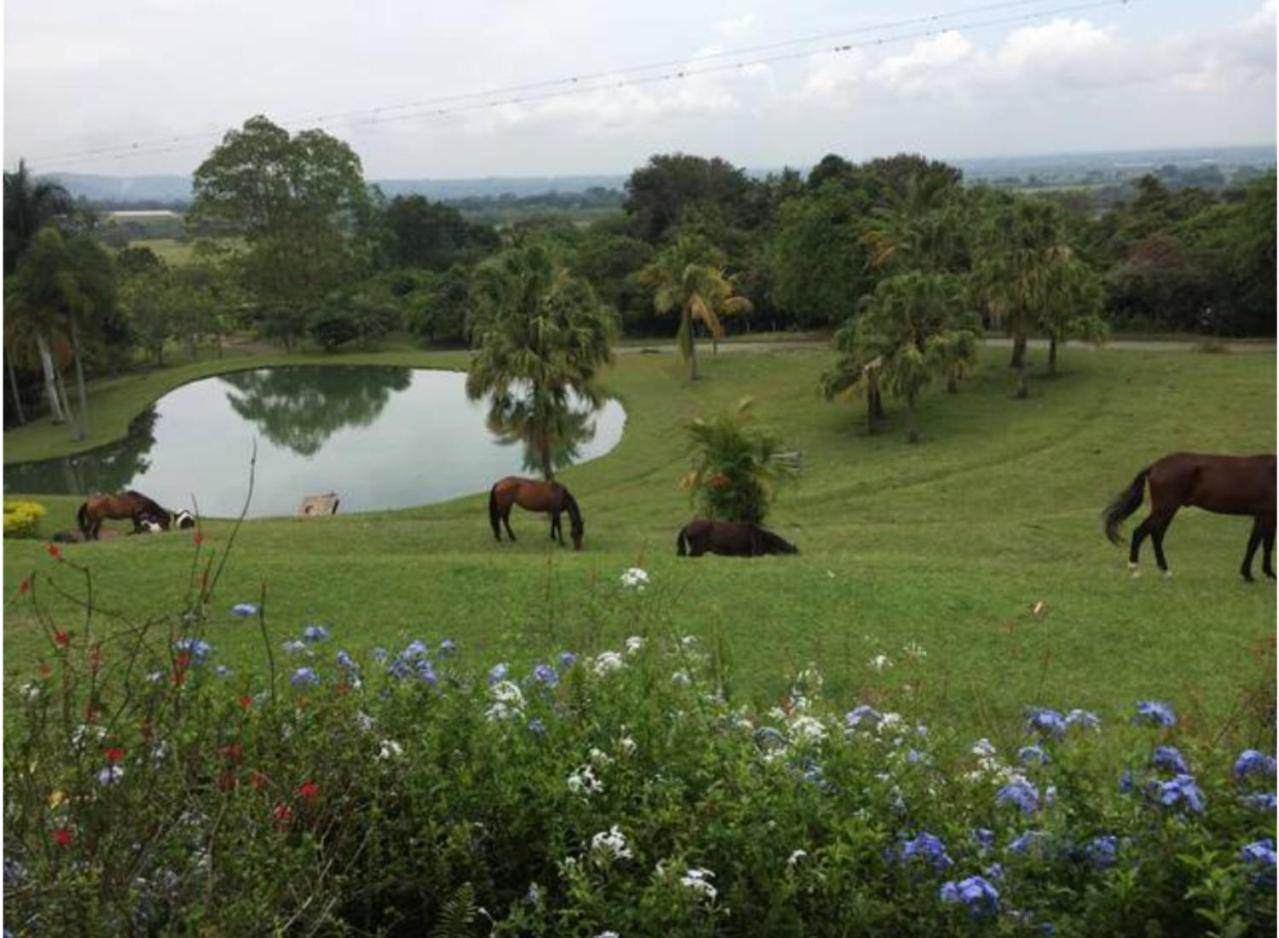 Hacienda la Romelia