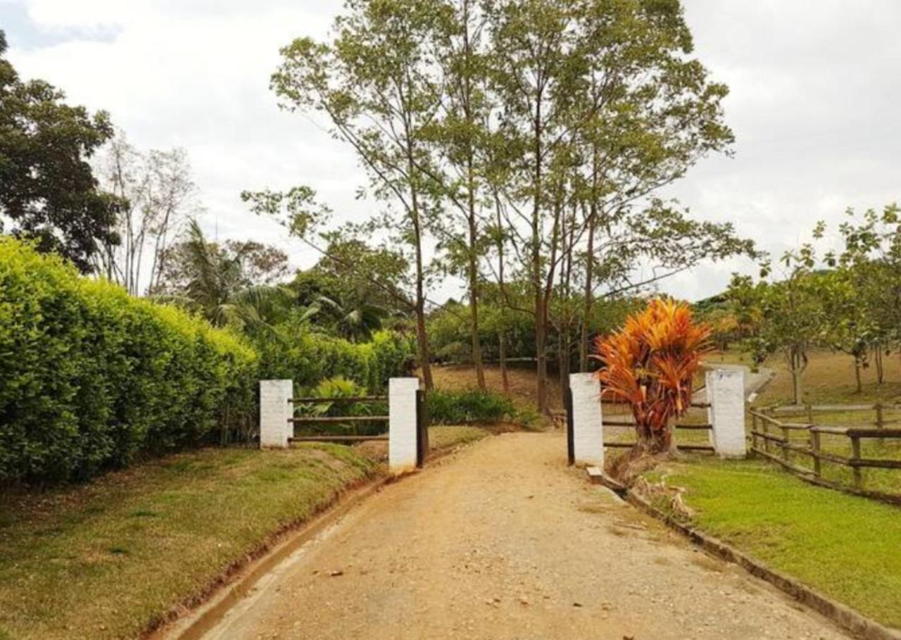 Hacienda la Romelia