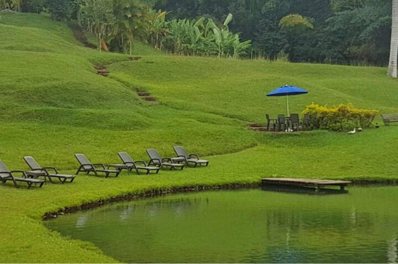 Hacienda la Romelia