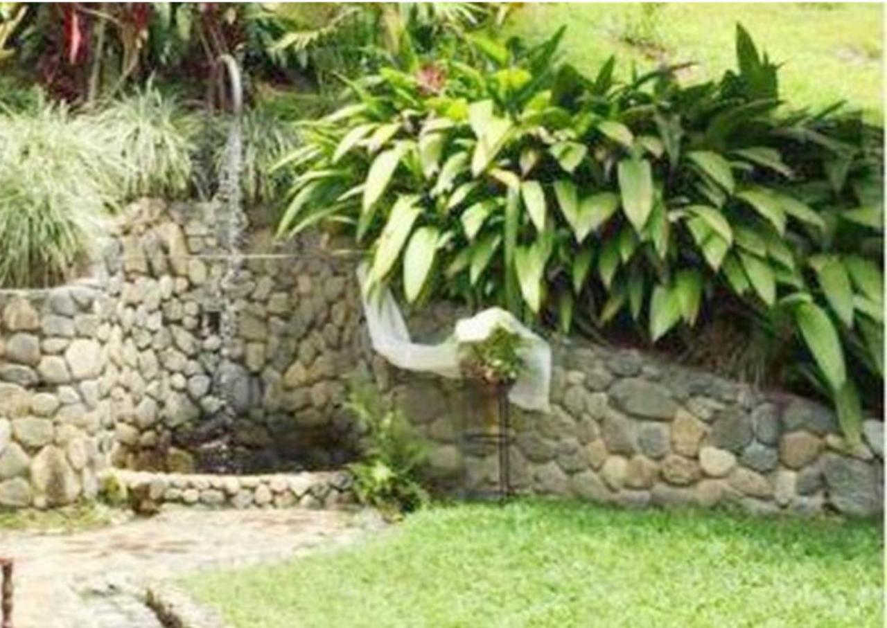Hacienda la Romelia
