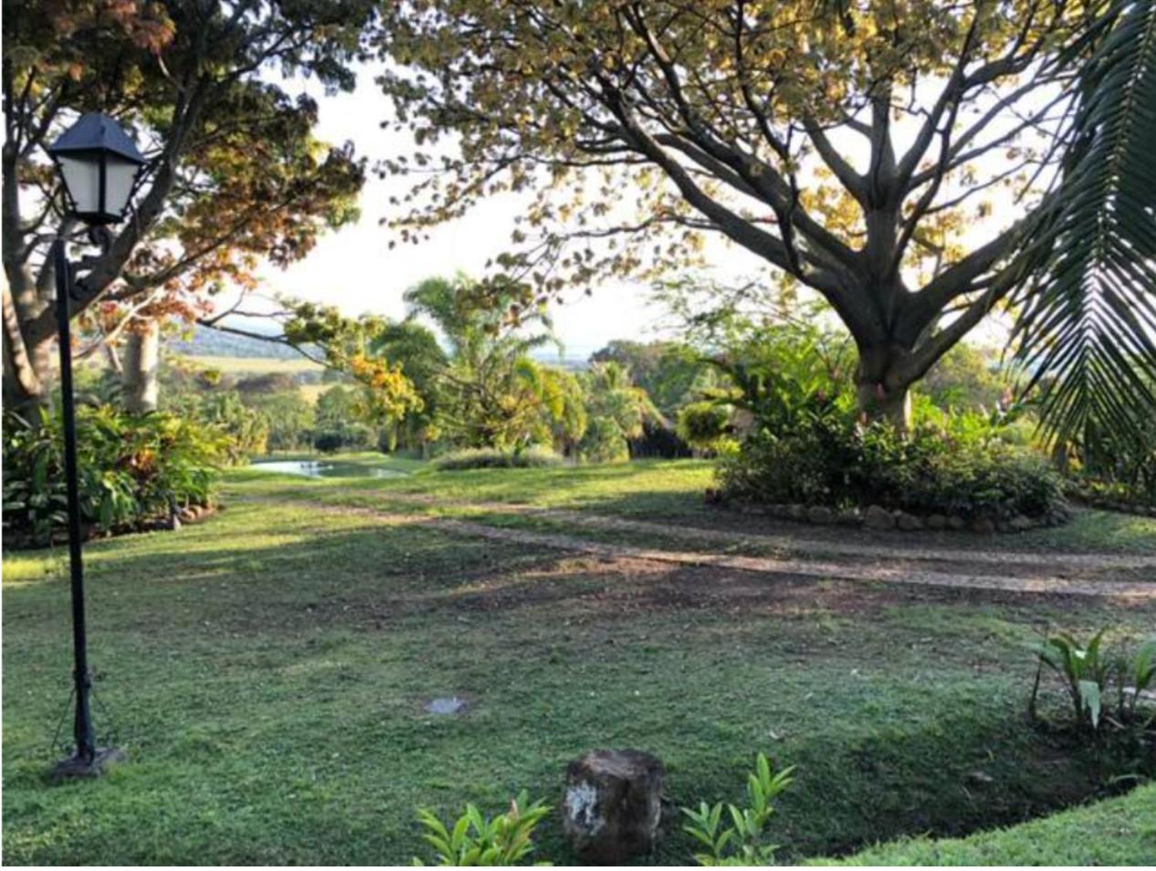 Hacienda la Romelia