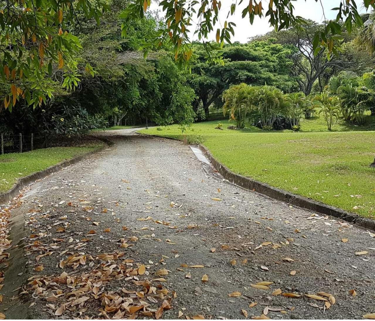 Hacienda la Romelia