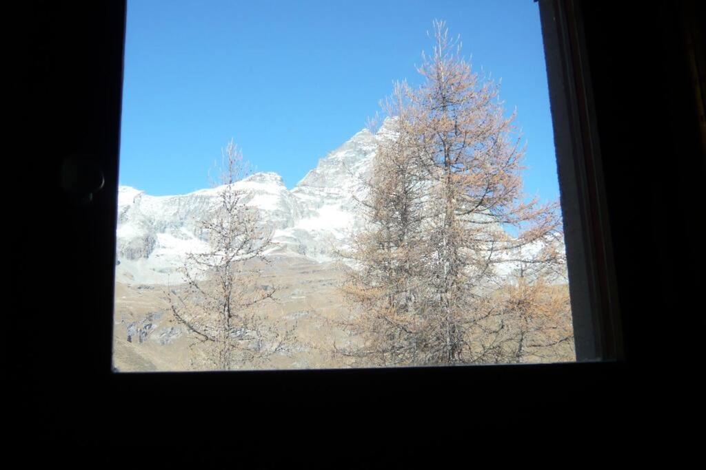 Ski - in / Ski - out apartment in Cervinia view 3