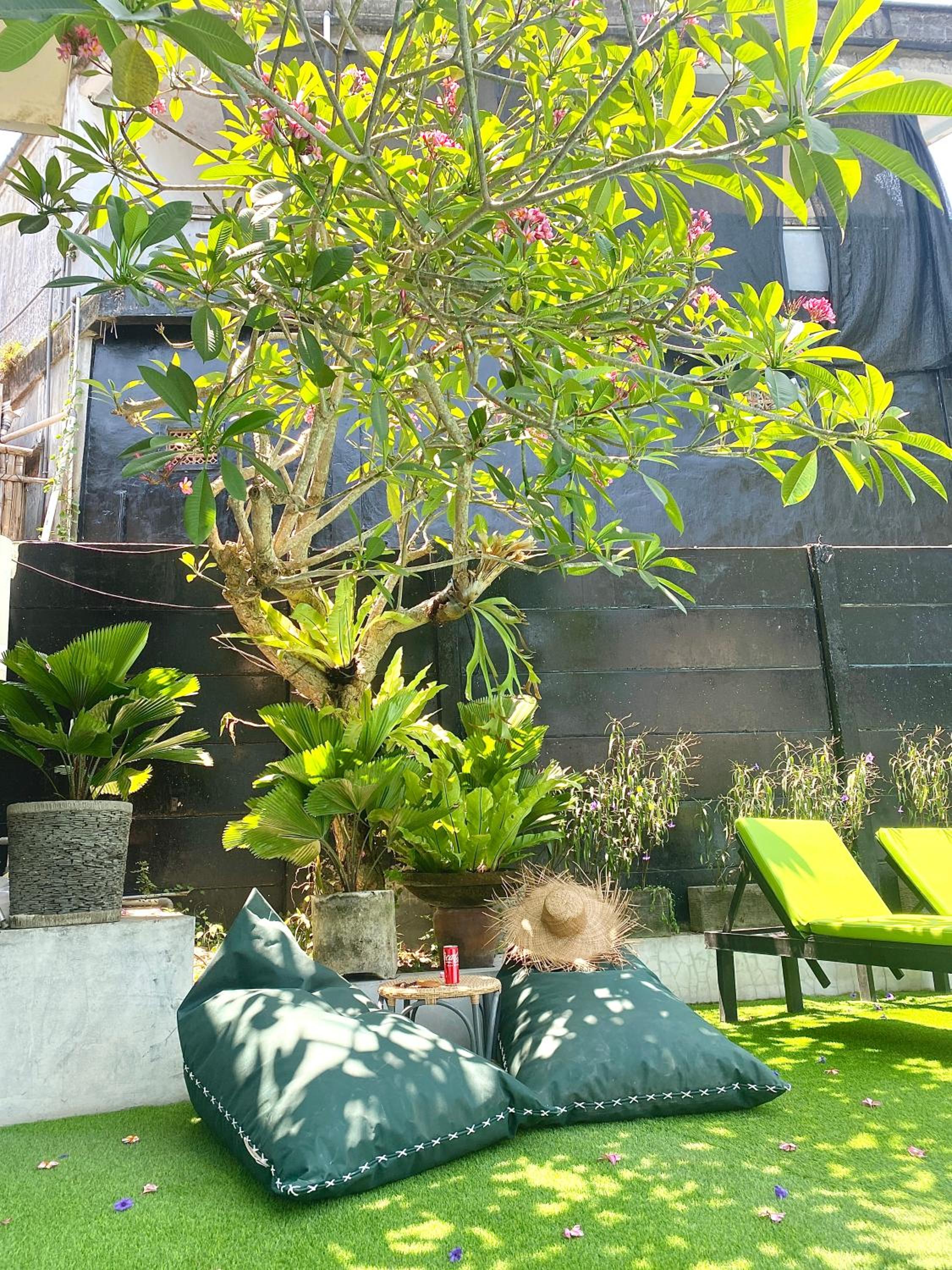 The Jungle Hostel Canggu — photo 139