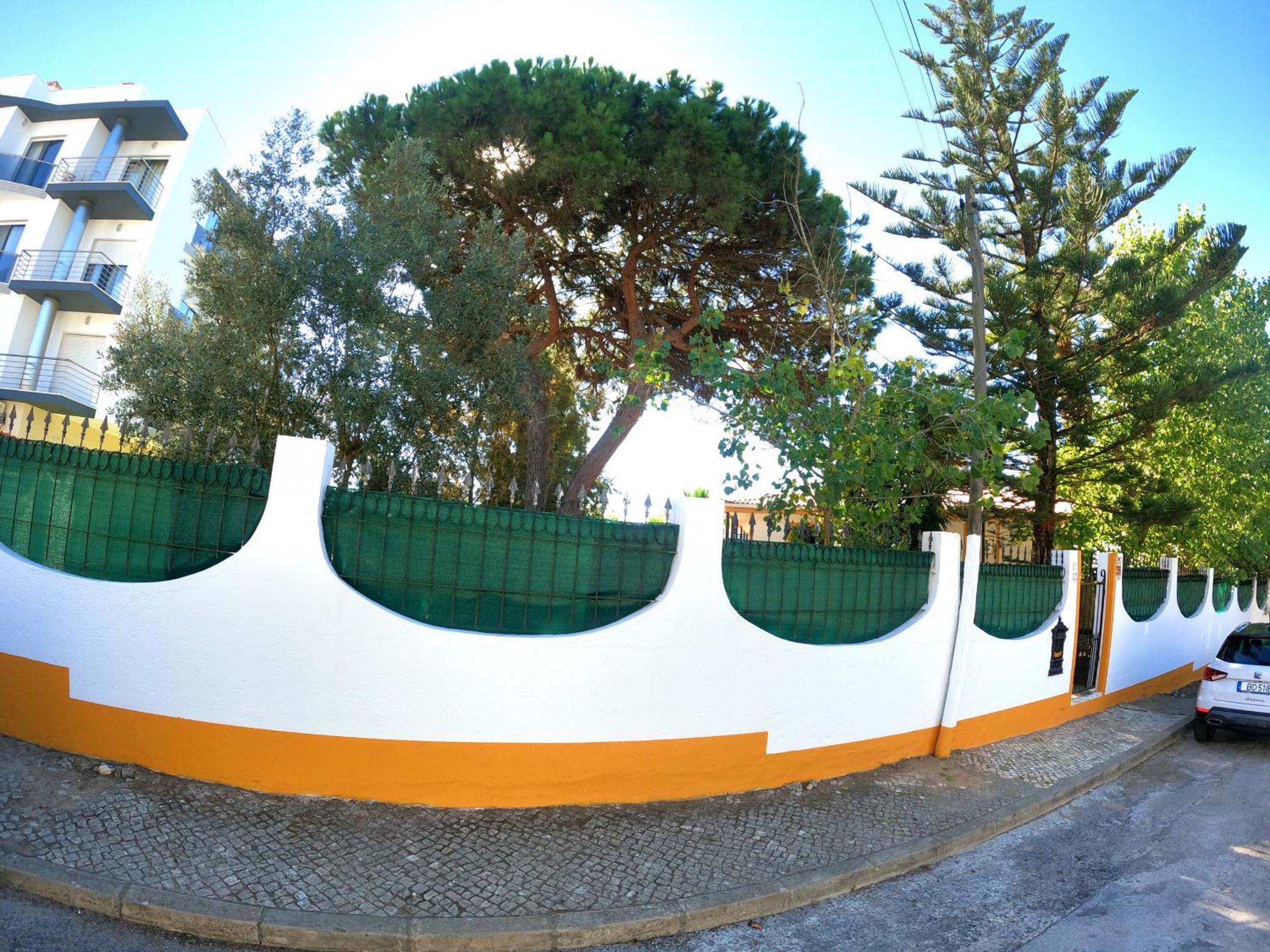 Photo 41