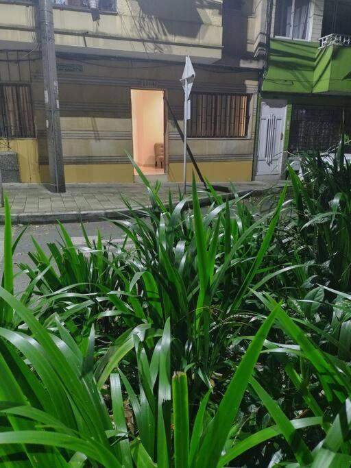Apartamento cerca a Todo