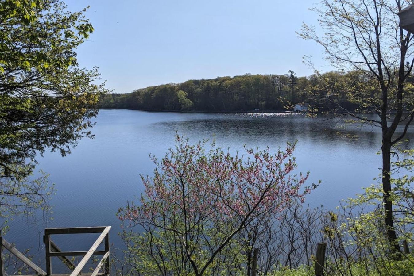 Stunning lakefront 4 season cottage in PEC
