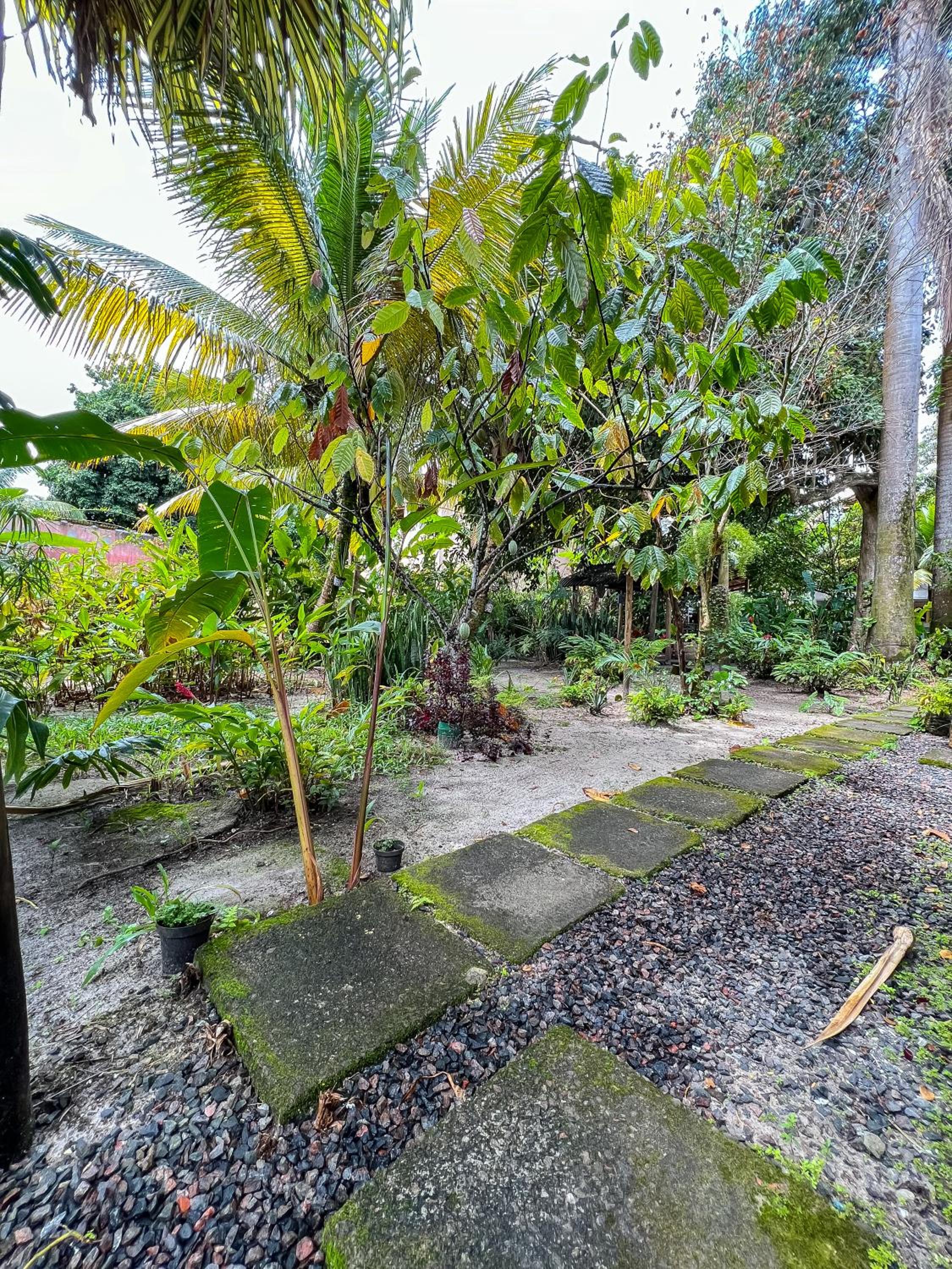 Barra Quintal Apartamento 04