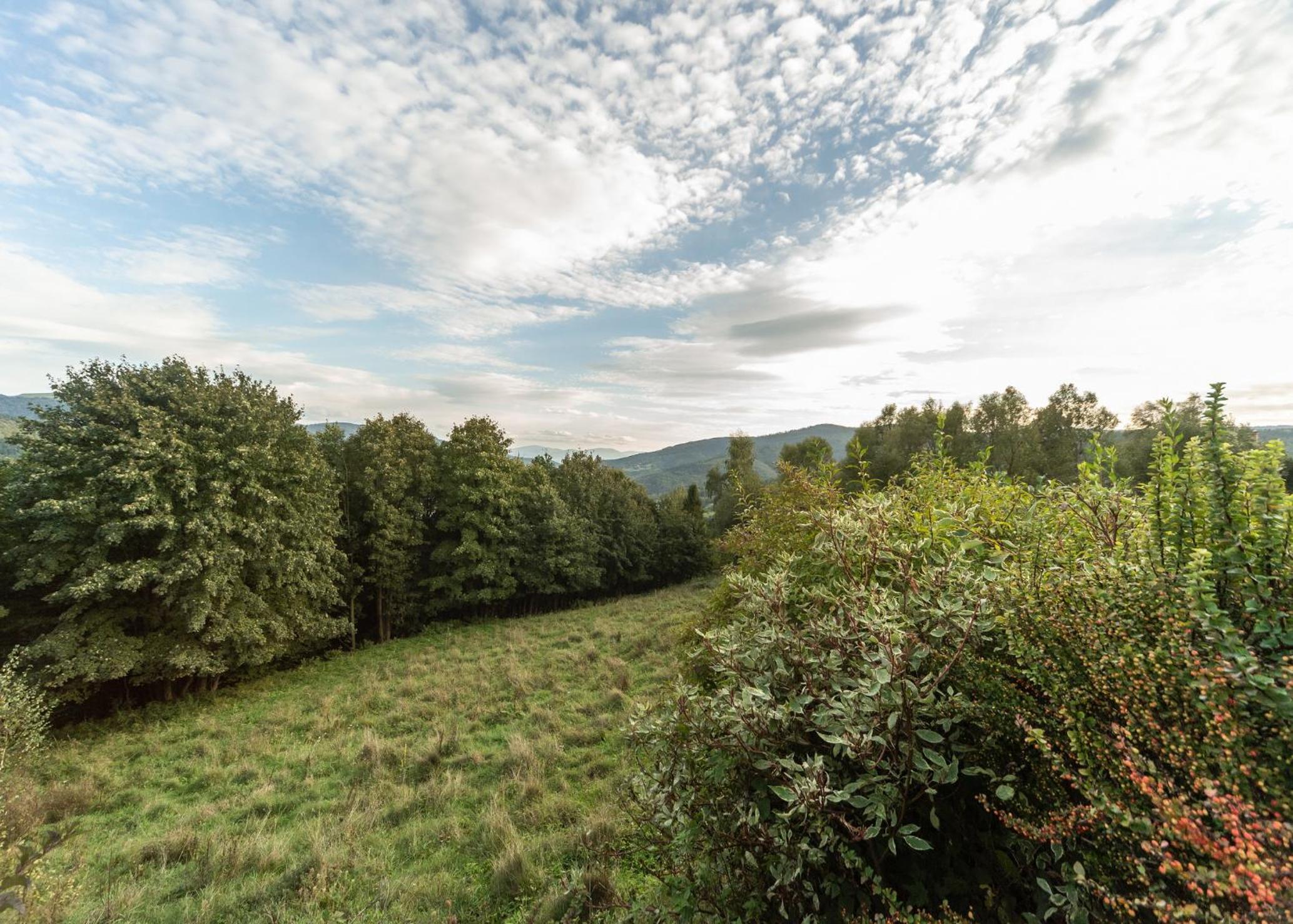 Domek Widok view 4