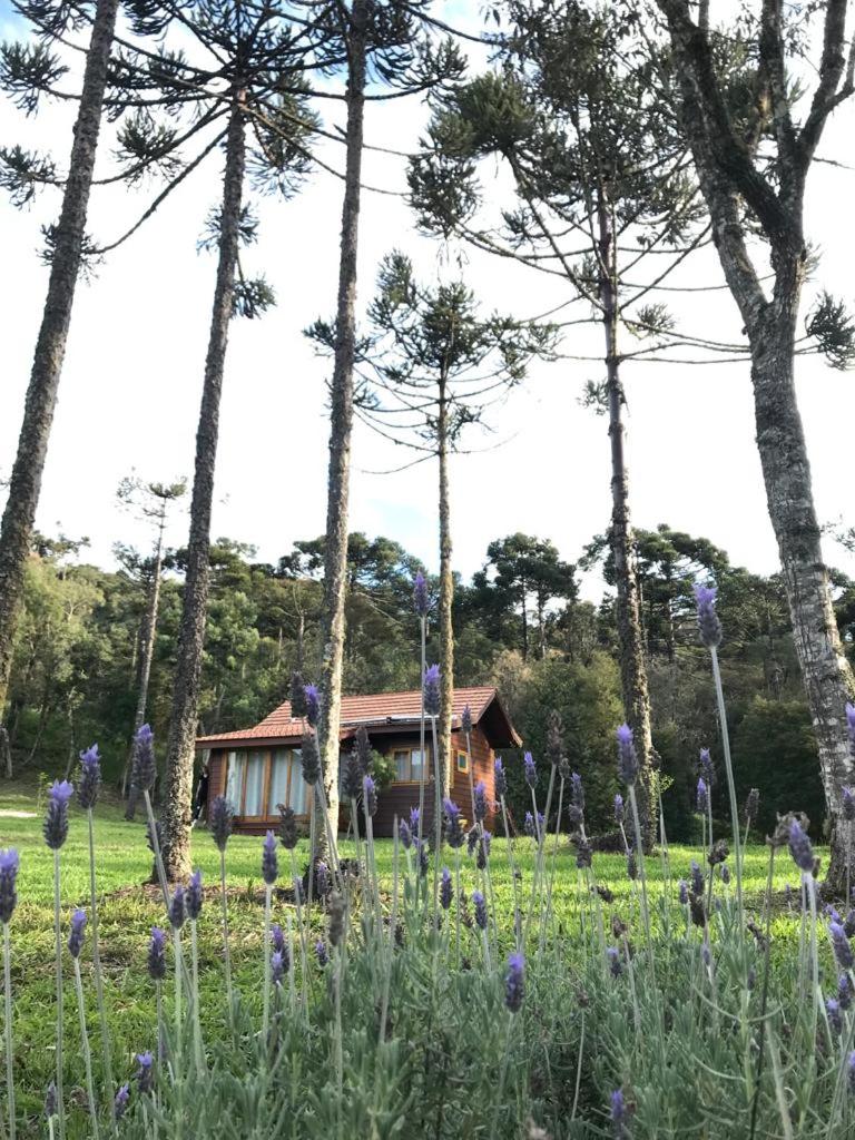 Cabana do Lenhador - Urubici, SC