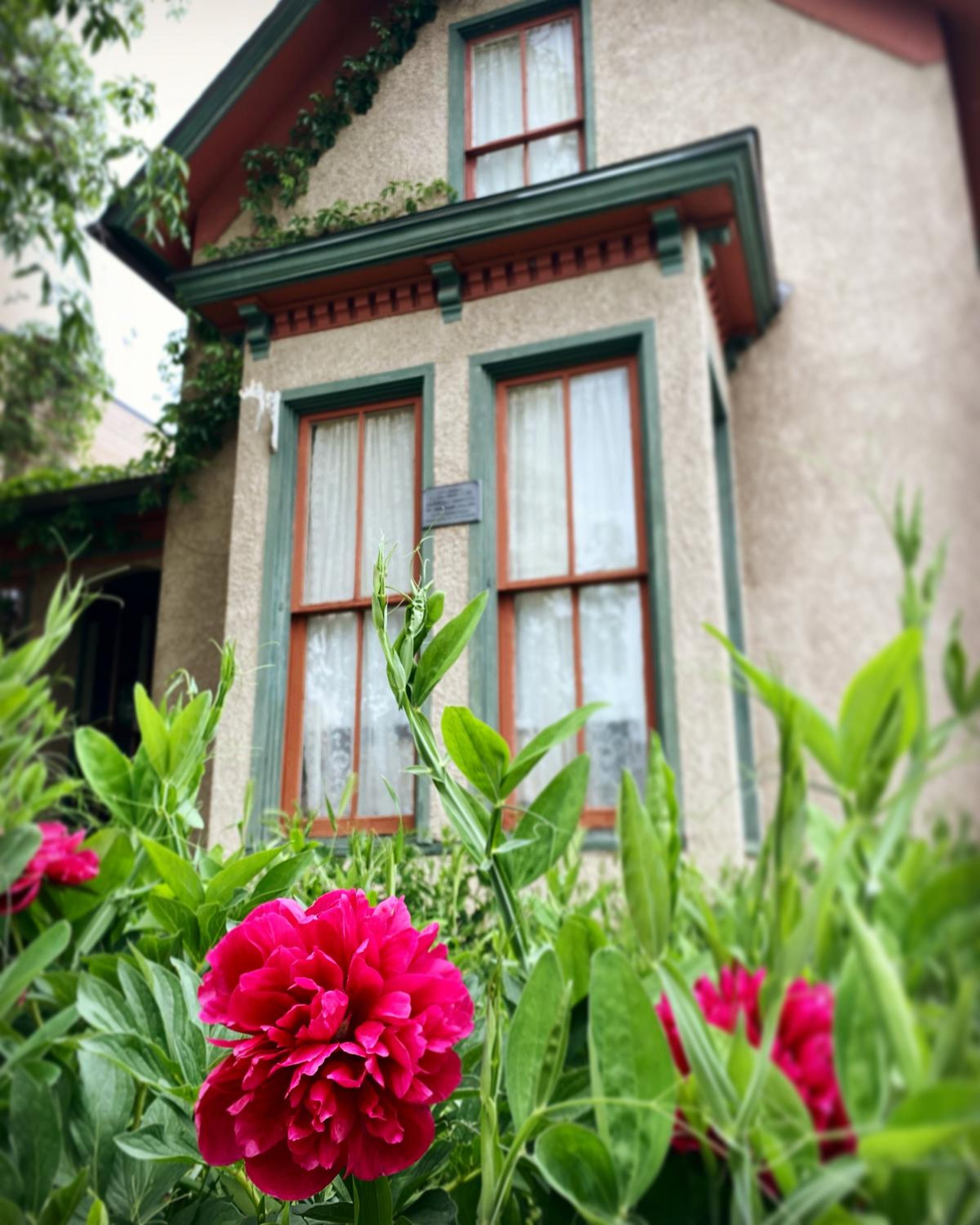 Pansy’s Parlor Bed & Breakfast view 4