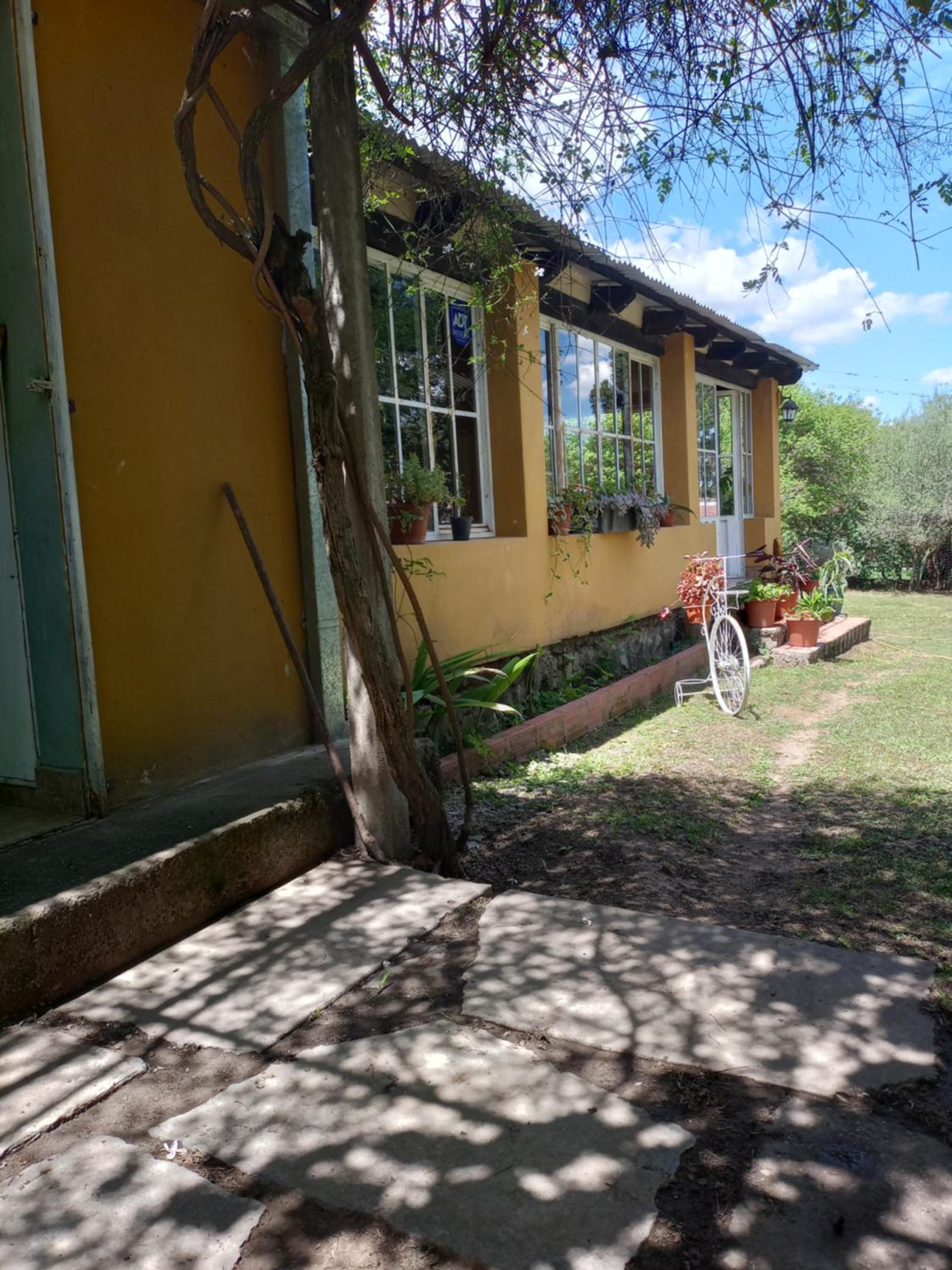 La Chona