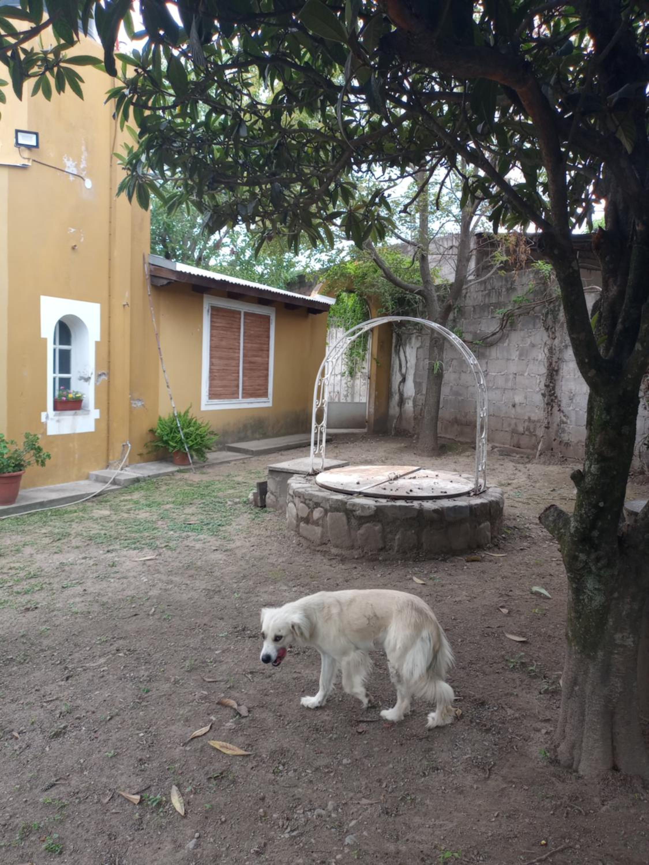La Chona