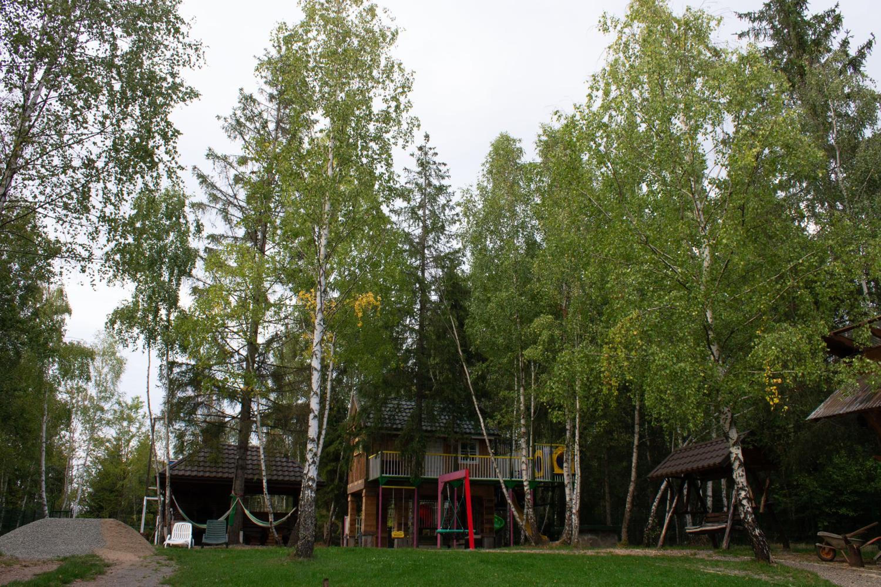 Photo 37