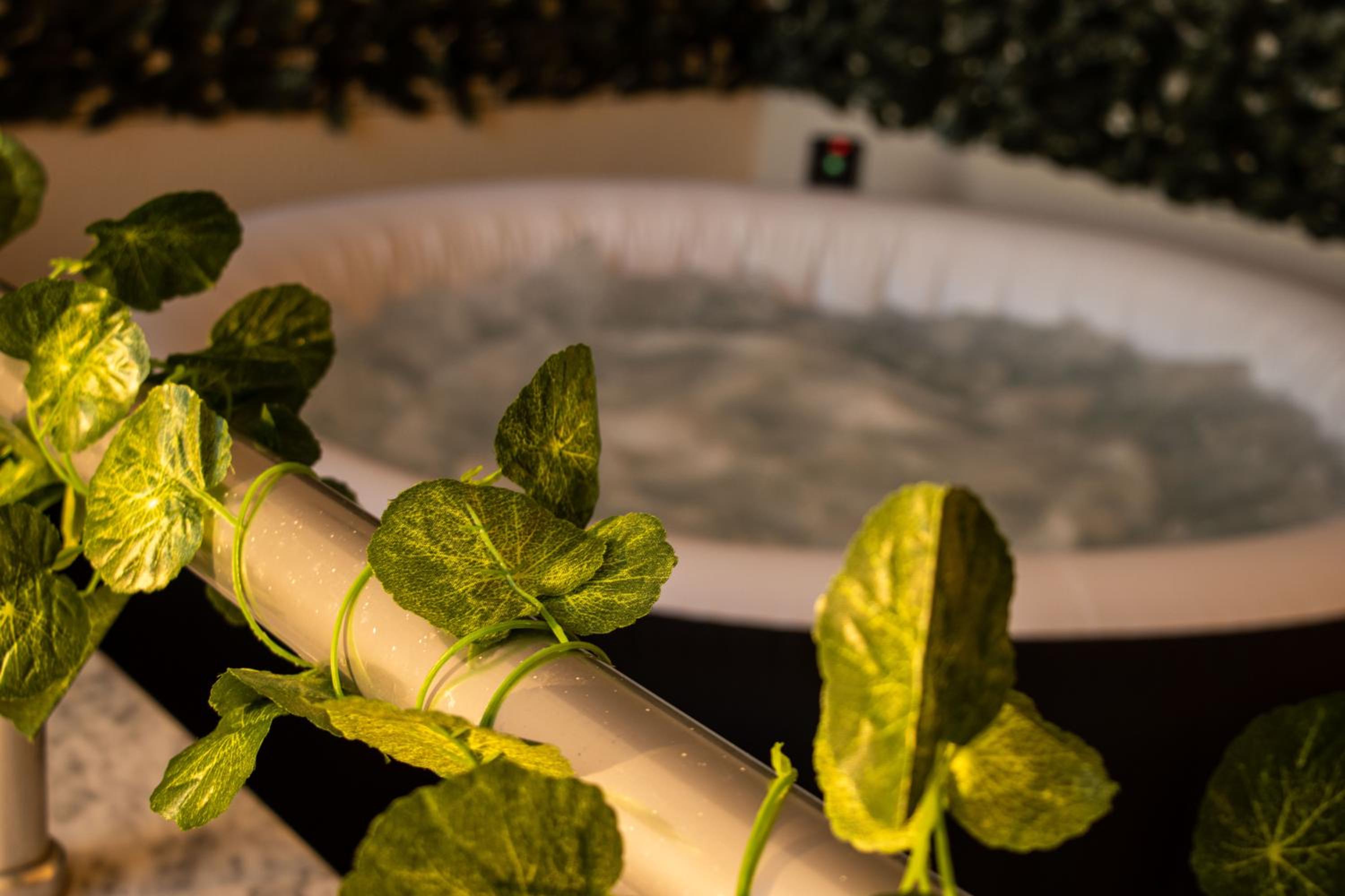 Amazing Paradise Sensation 2 Bedroom Luxury Apartment with a Jacuzzi