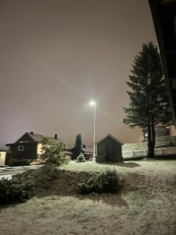 Lykkebo