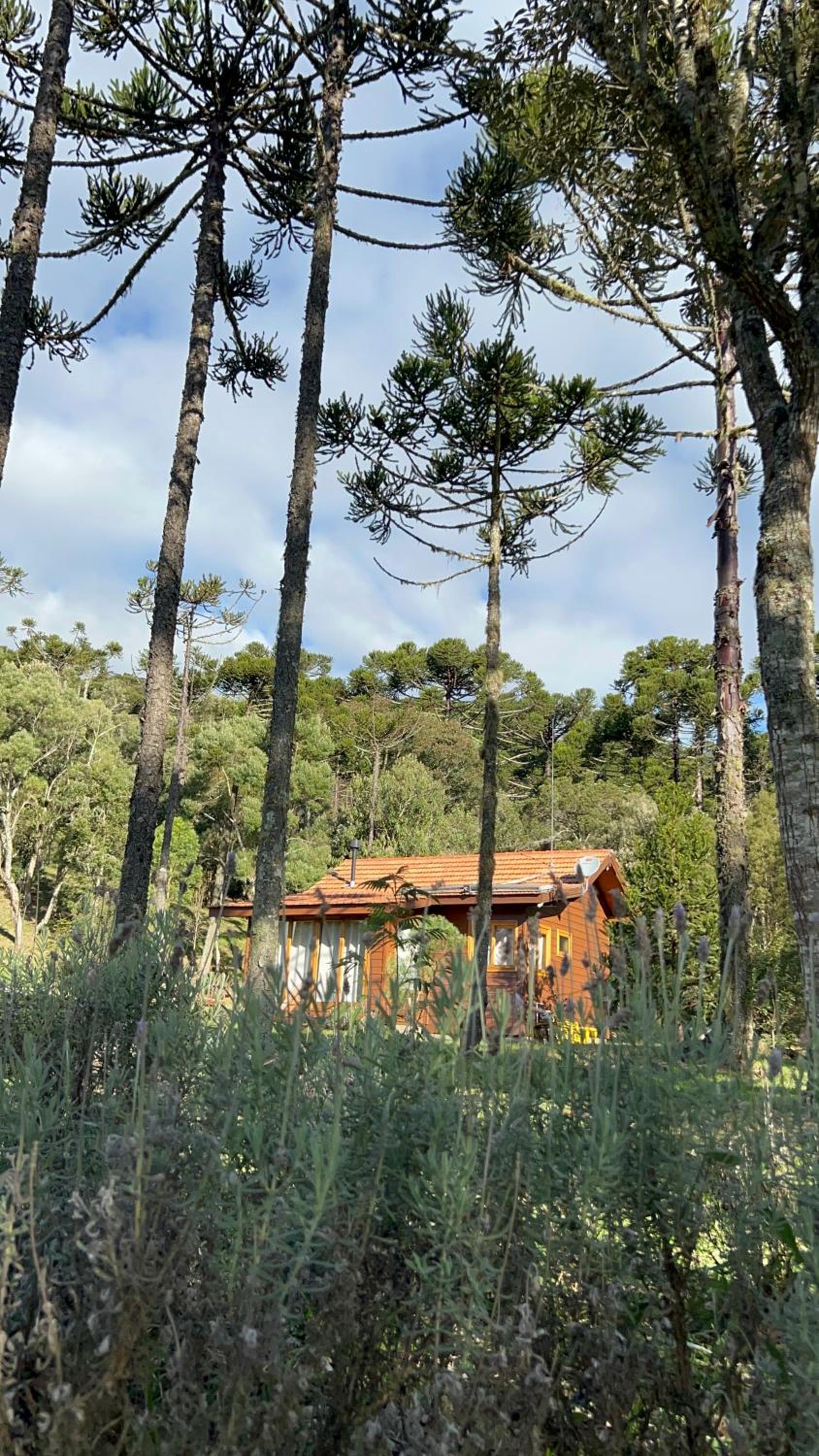 Cabana do Lenhador - Urubici, SC