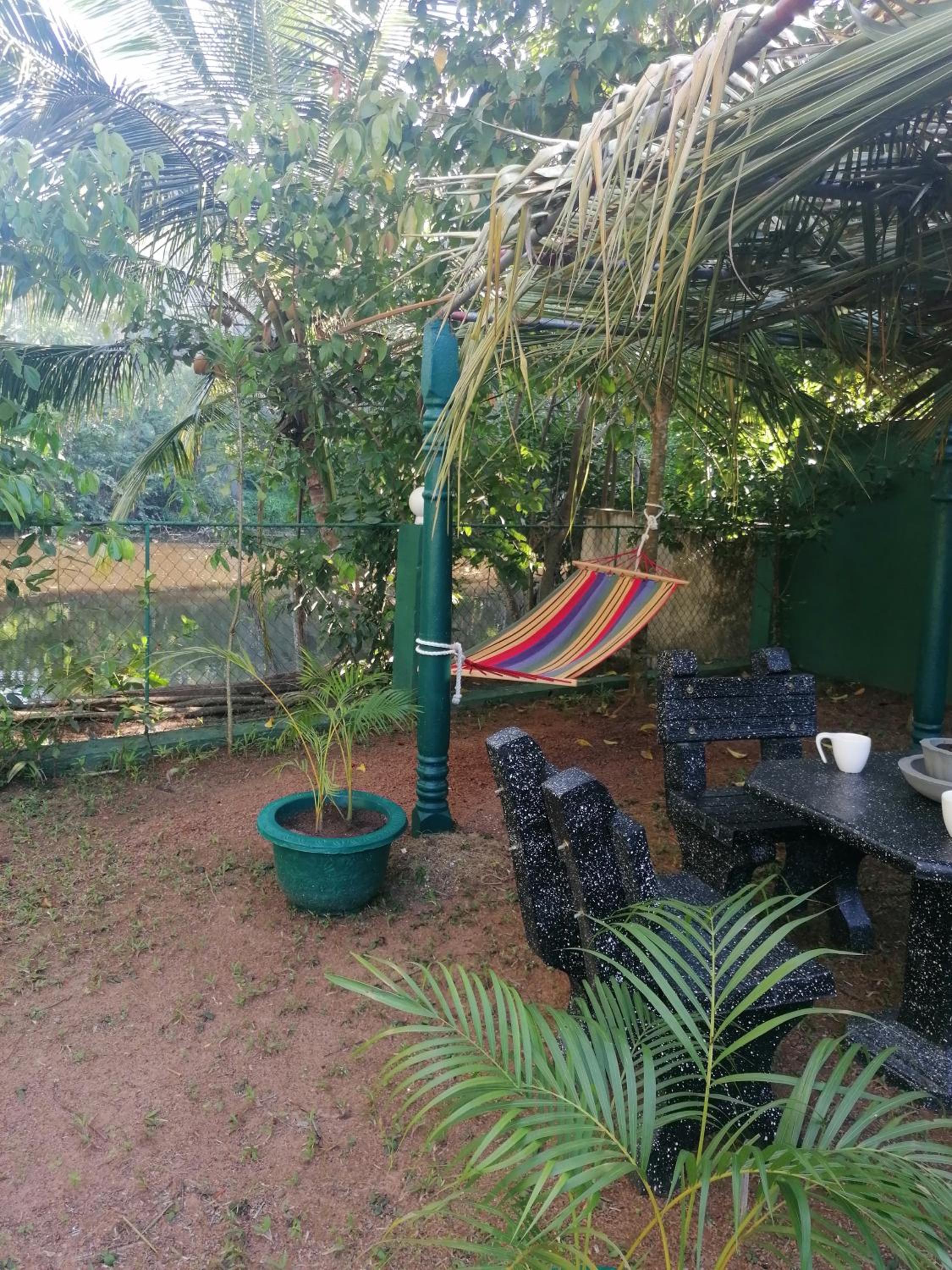 Photo 11