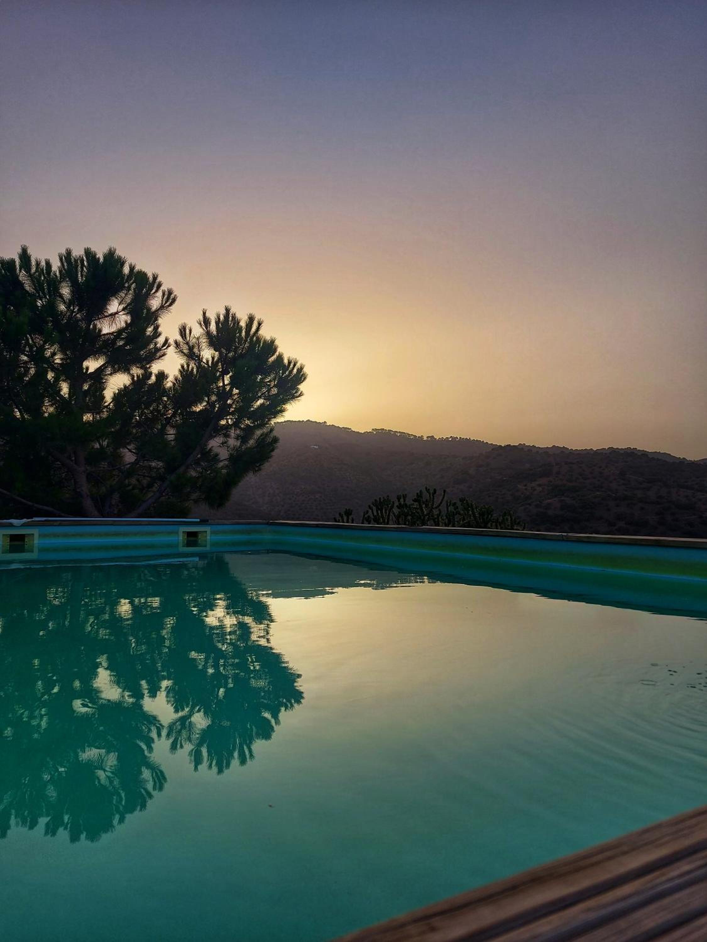 Finca Serrato view 5
