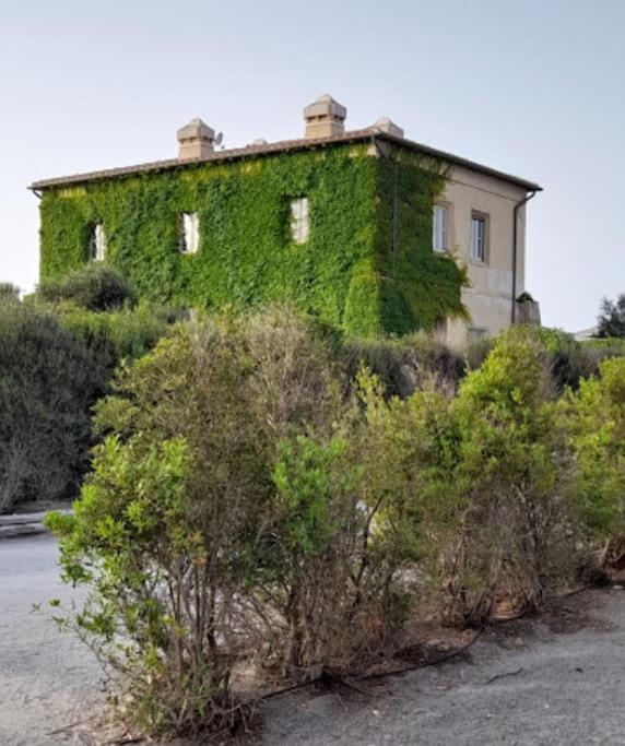 Casa Vacanze Capalbio view 5