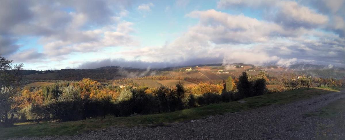AGRITURISMO VICOLABATE