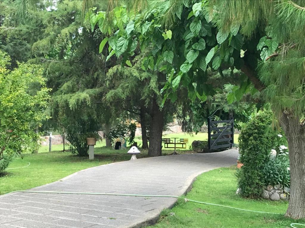 LA NEGRITA