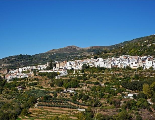 Casa rural Los Rosales
