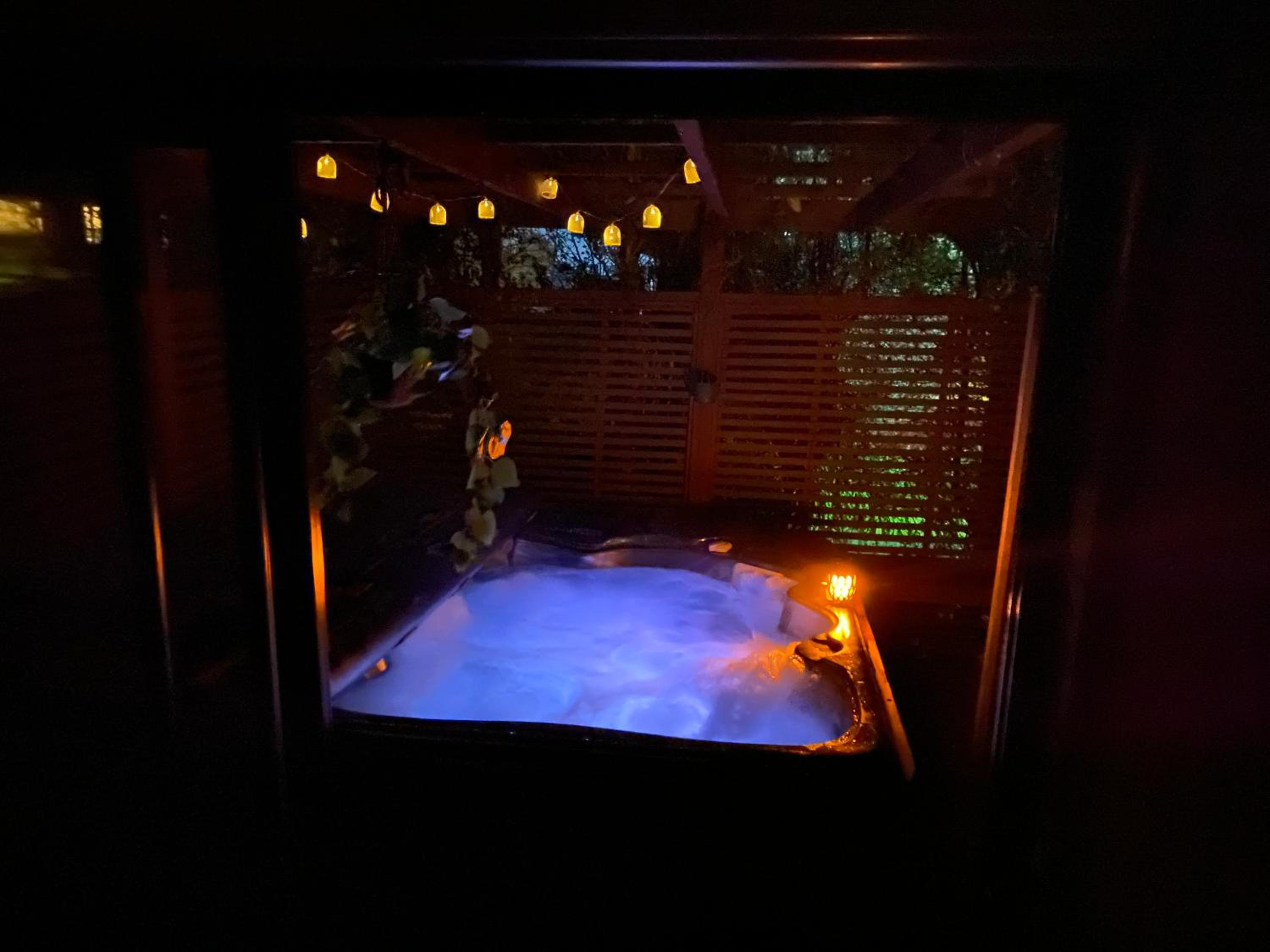 Dinsdale oasis and private spa pool view 4