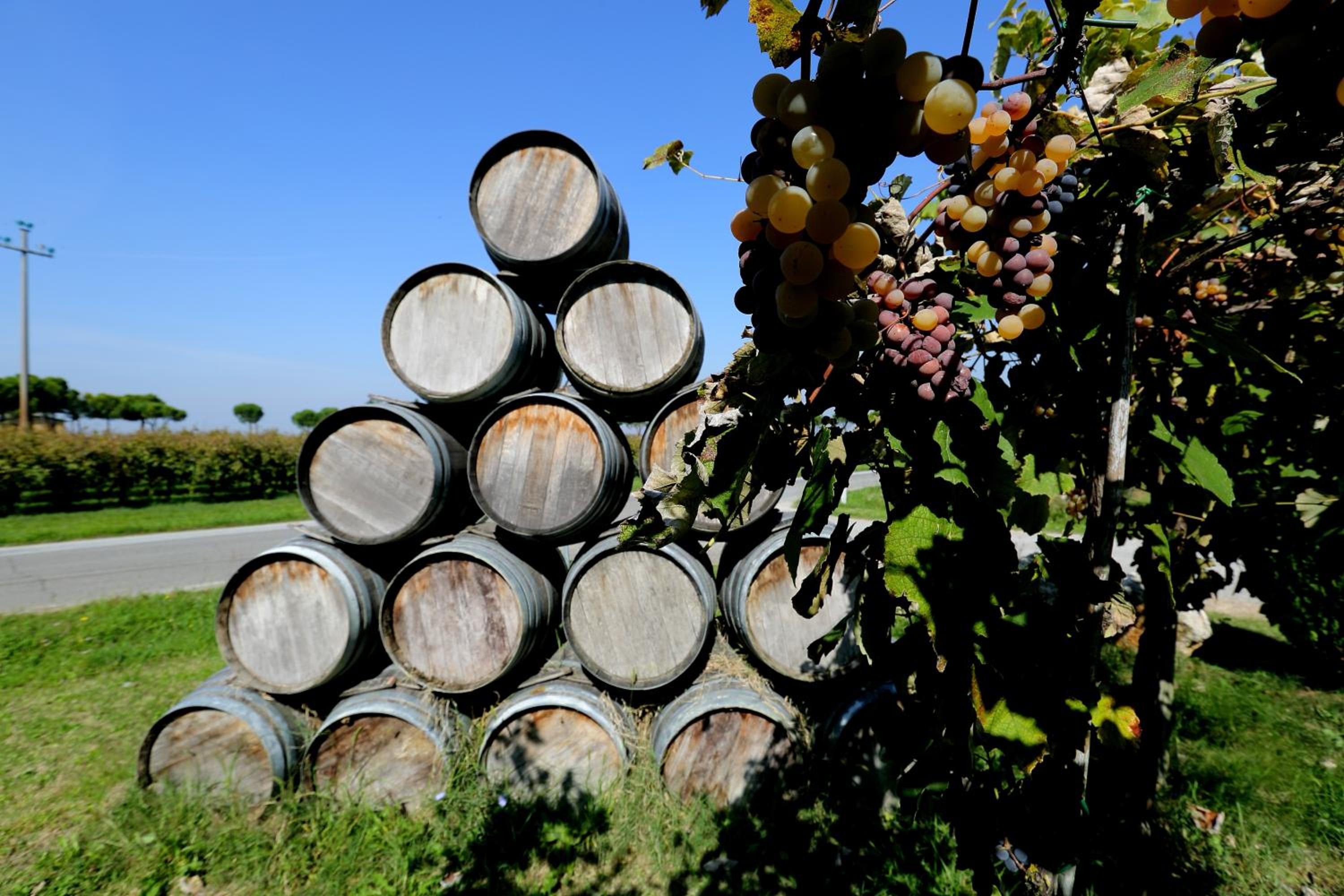 Agriturismo Trerè
