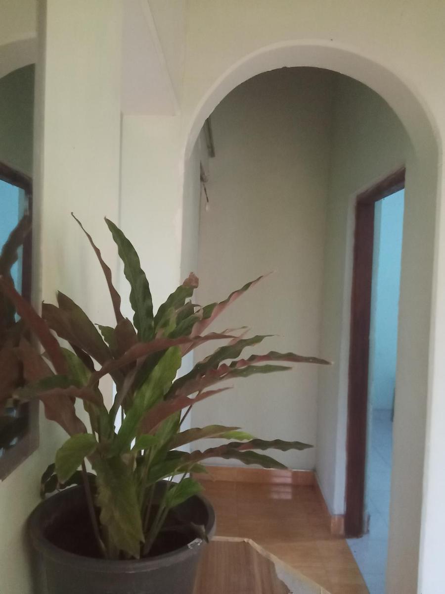 Osheen Family Guest House view 2