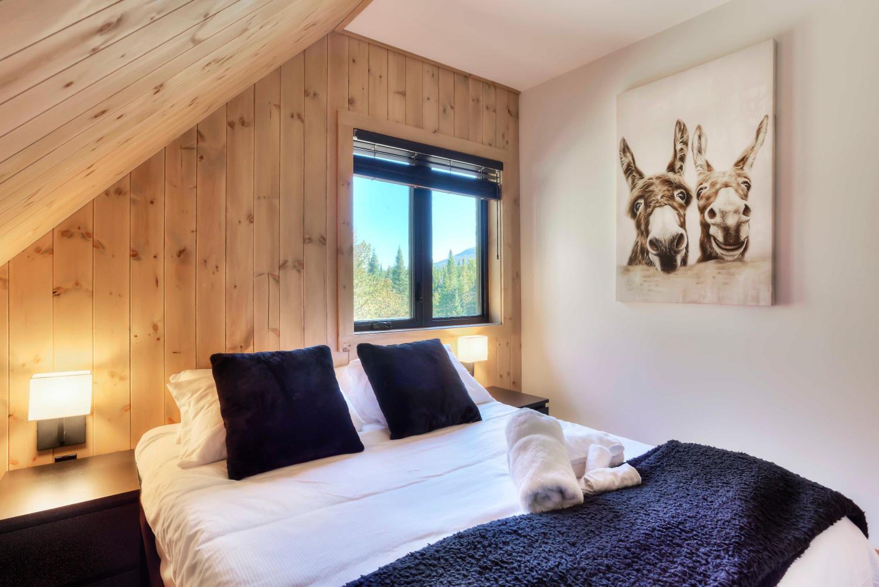 Tremblant chalet O-Spa