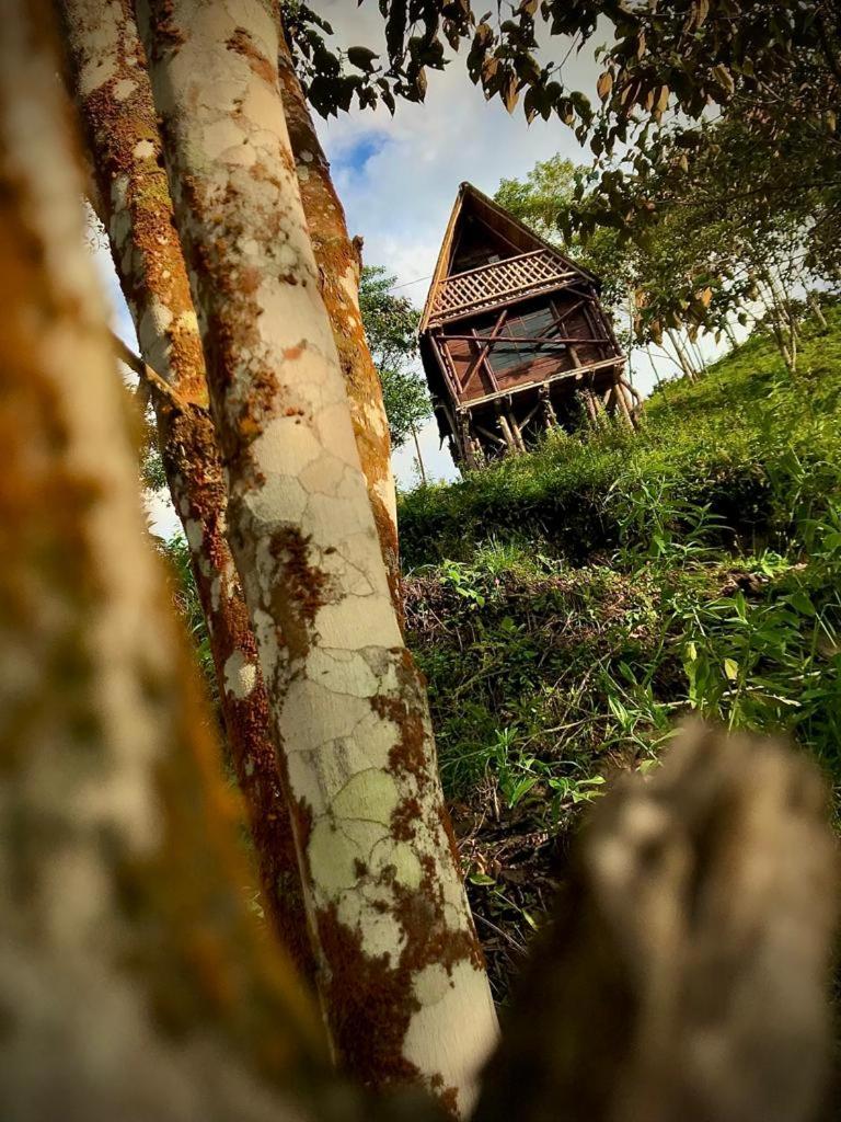 Preciosa cabaña en plena naturaleza con jaccuzi