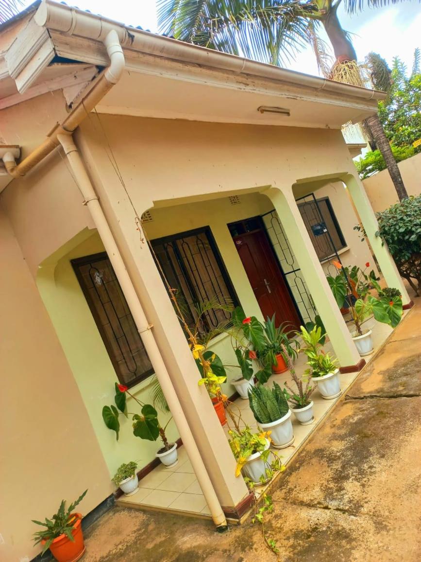 the Njiro view 2
