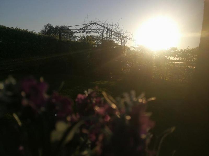 Het Huisje landelijk gelegen Bergen op Zoom