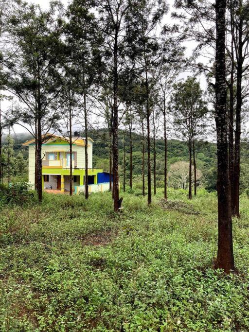 It’s pleasant vibe with nature oriented