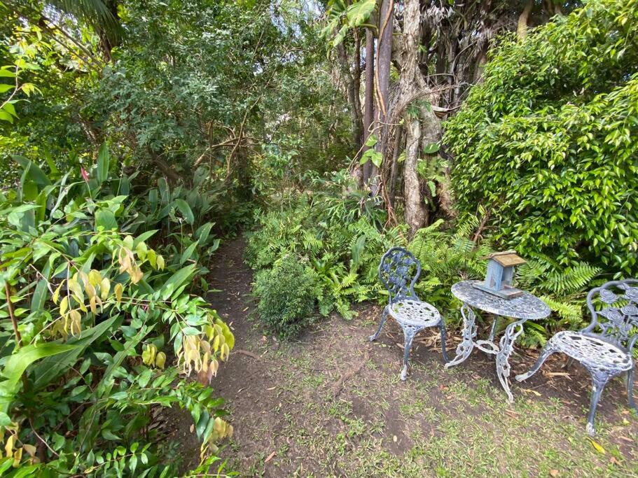 Absolute Beach Front Home -Dogs, Surf, Relax, Bush