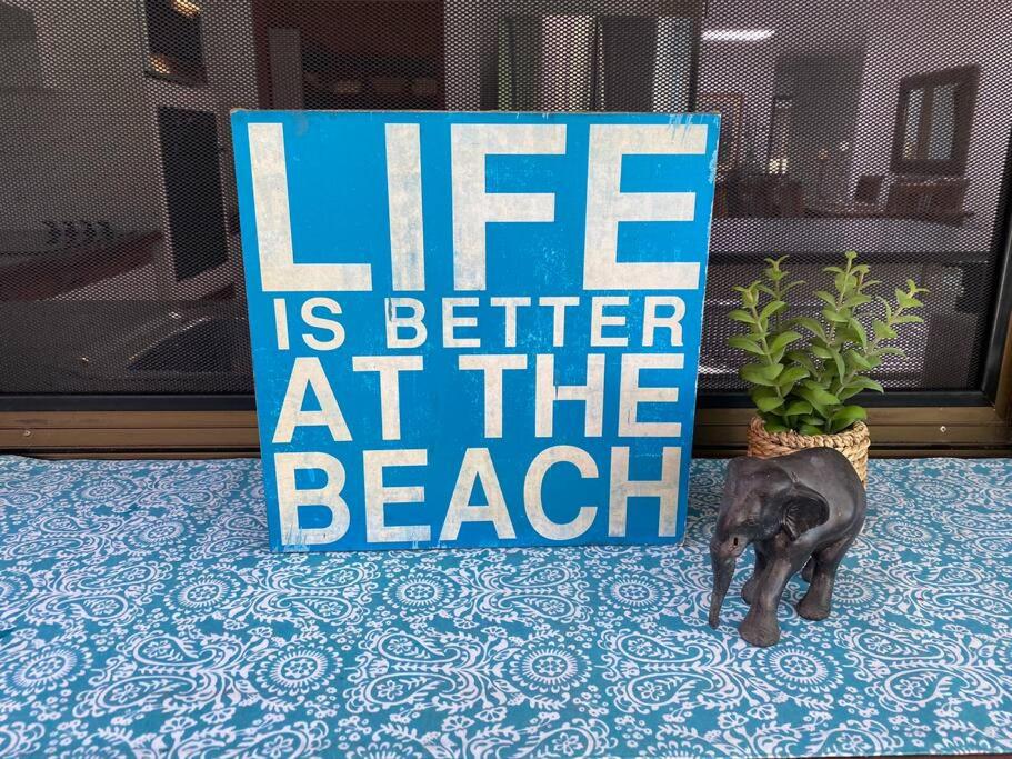 Absolute Beach Front Home -Dogs, Surf, Relax, Bush