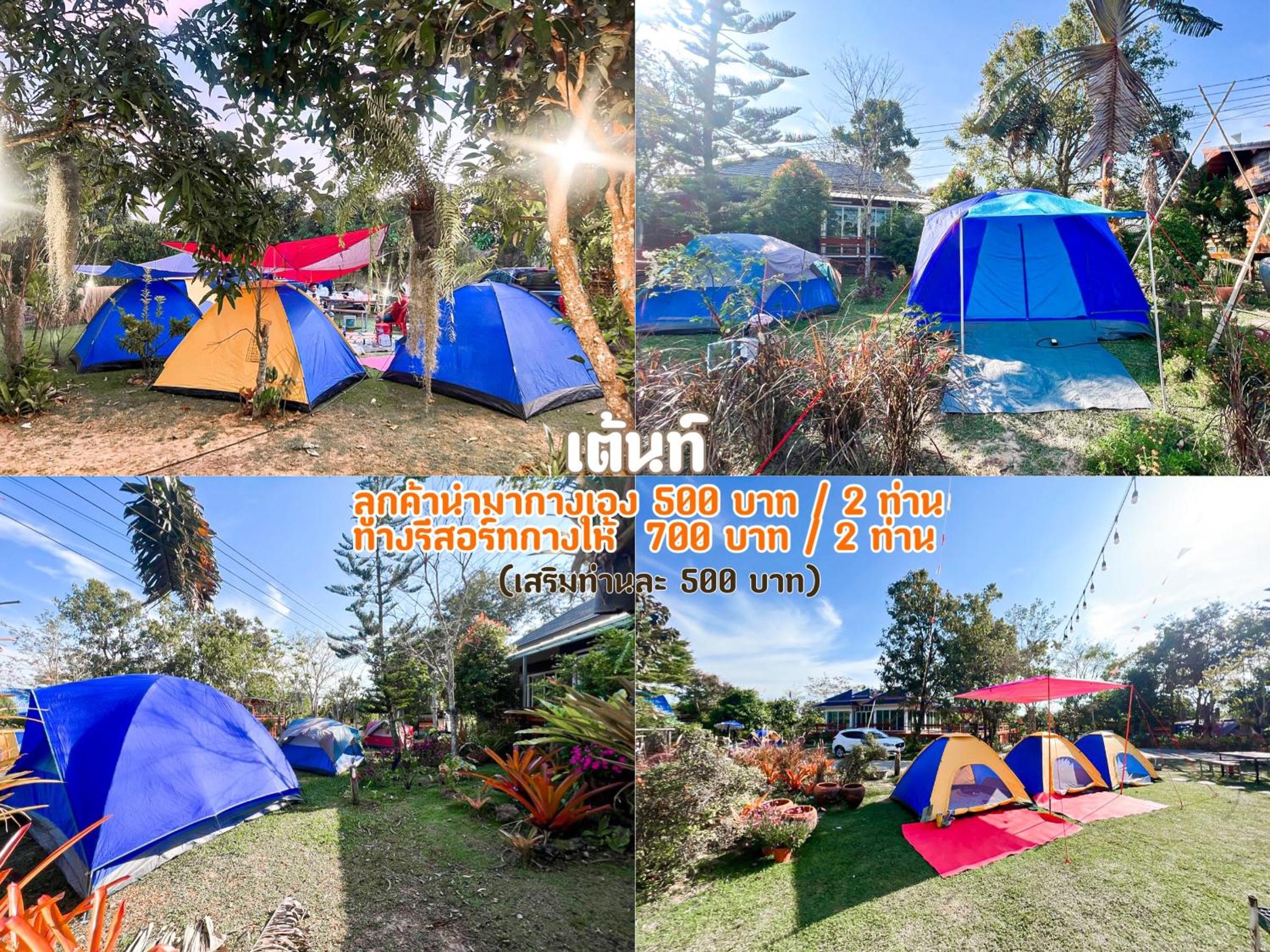 Photo 73